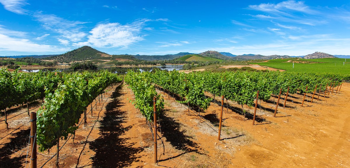 Guenoc Valley, Lake County, by Nathan DeHart